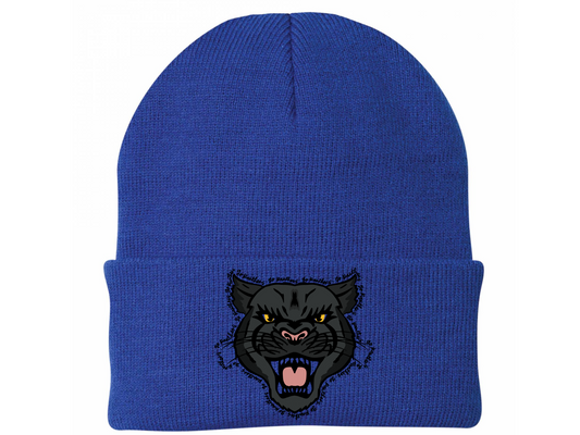 Panthers Winter Hat